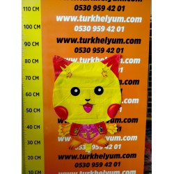 Pokemon Küçük Dbcy