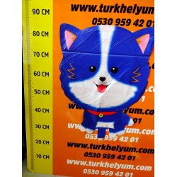 Küçük köpek mavi