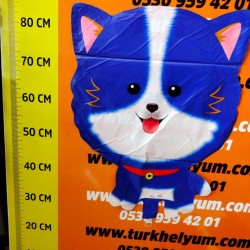 Küçük köpek mavi