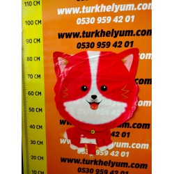 Küçük Köpek Kırmızı