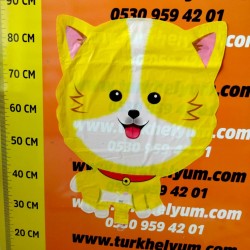 Sarı Küçük köpek